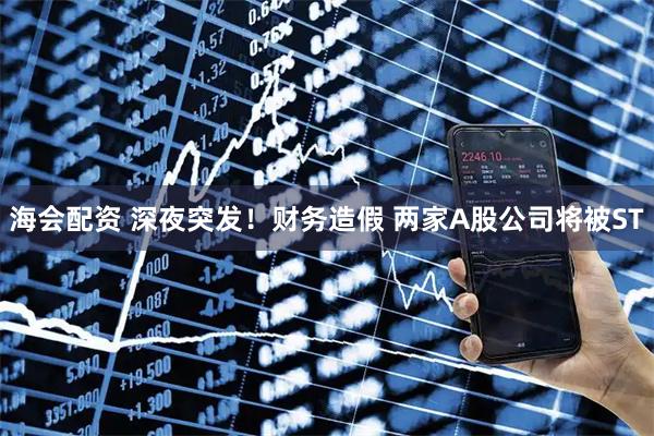 海会配资 深夜突发!财务造假 两家A股公司将被ST